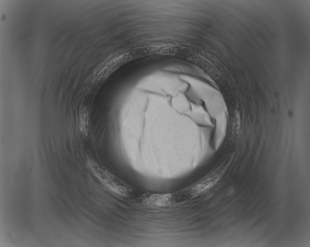 X0000081360138200702020149