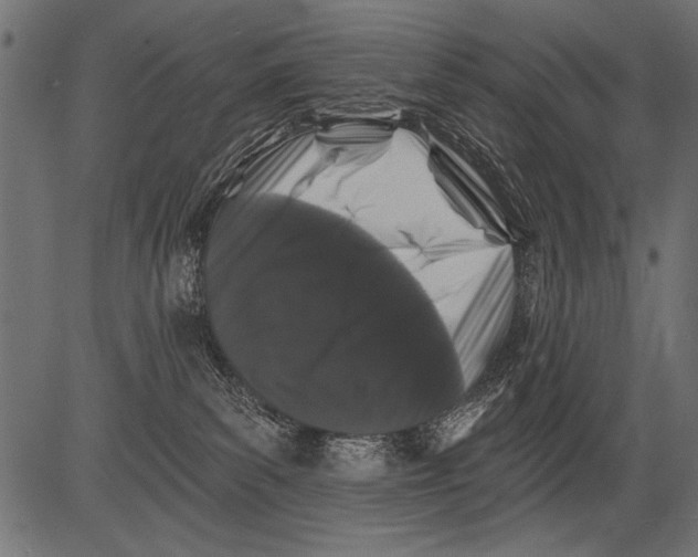 X0000081360139200702020149