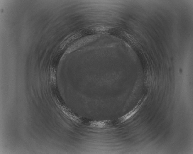 X0000081360140200702020149