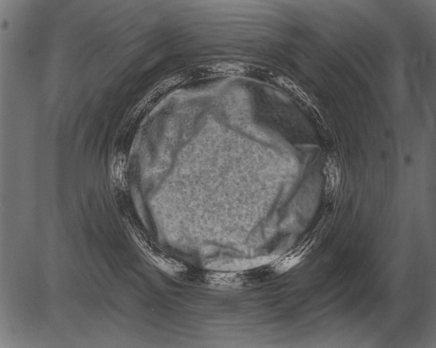 X0000081360141200702020149