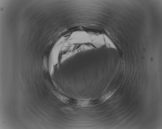 X0000081360143200702020149