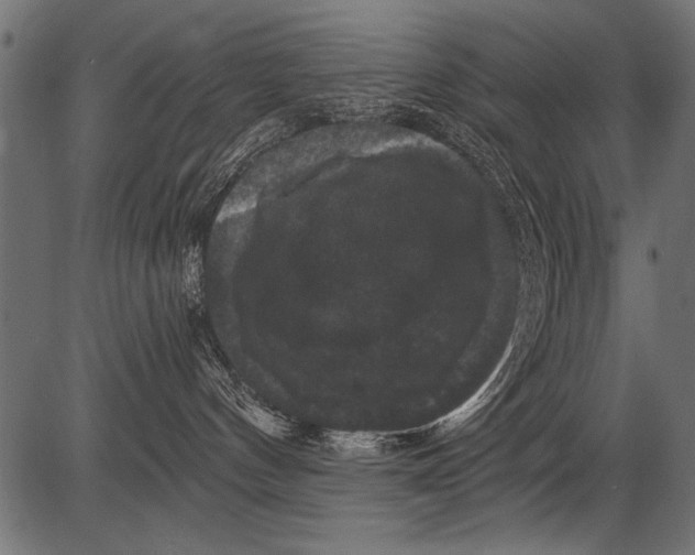 X0000081360144200702020149