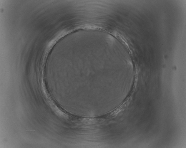 X0000081360145200702020148