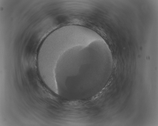 X0000081360146200702020148