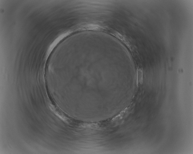 X0000081360147200702020149