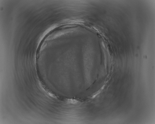 X0000081360148200702020149