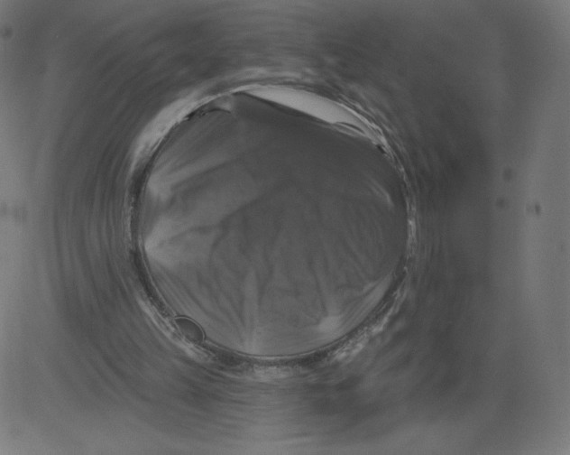 X0000081360149200702020149