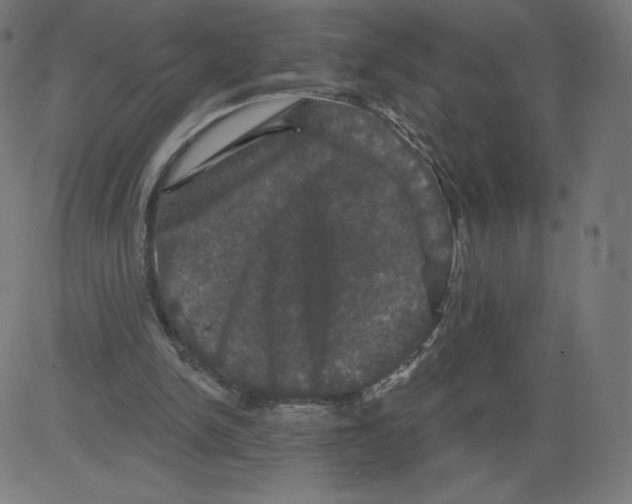 X0000081360150200702020149