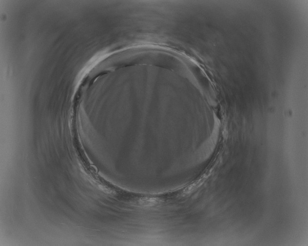 X0000081360152200702020149