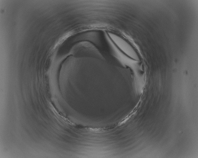 X0000081360154200702020149