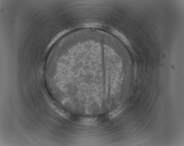 X0000081360155200702020149