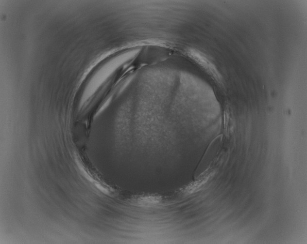 X0000081360156200702020149