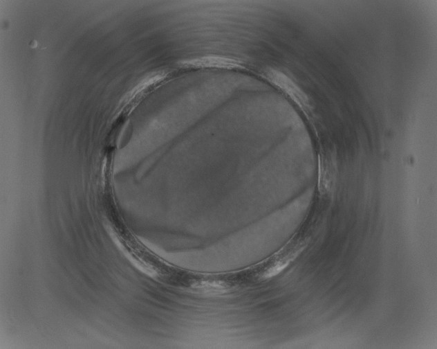 X0000081360157200702020149