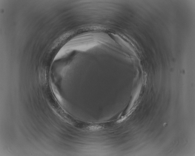 X0000081360158200702020149