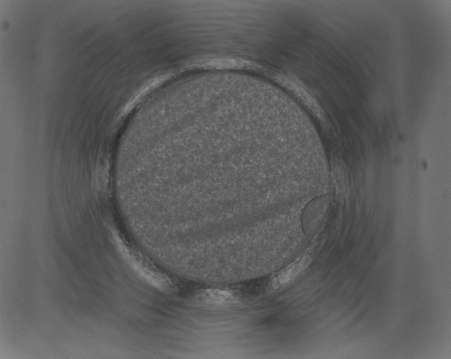 X0000081360159200702020149