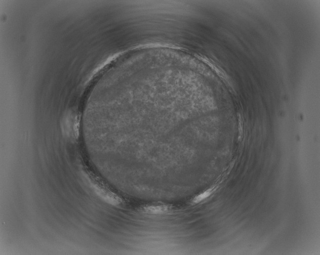 X0000081360160200702020149