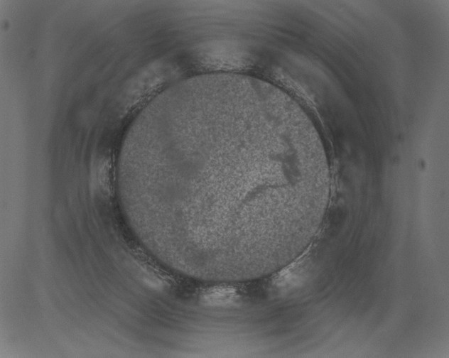 X0000081360162200702020149