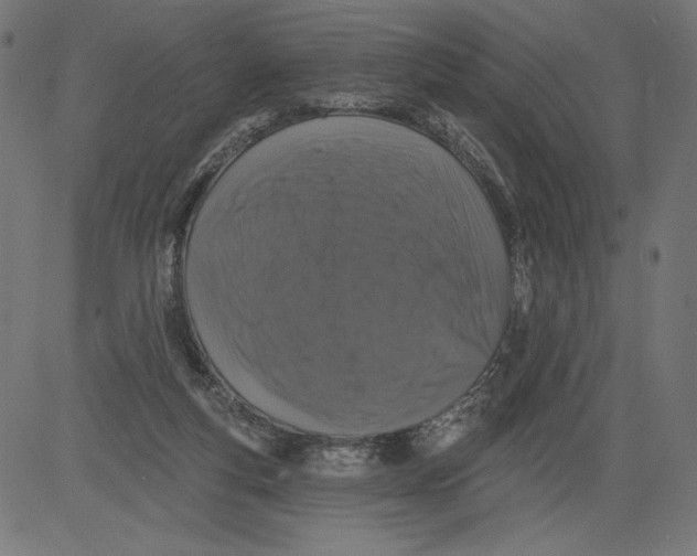 X0000081360163200702020149