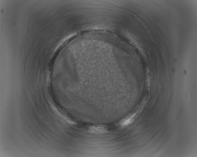 X0000081360164200702020149