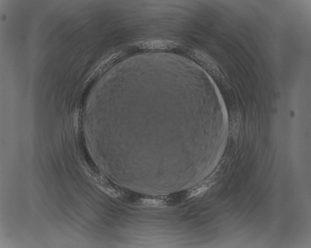 X0000081360167200702020149