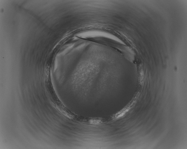 X0000081360168200702020149