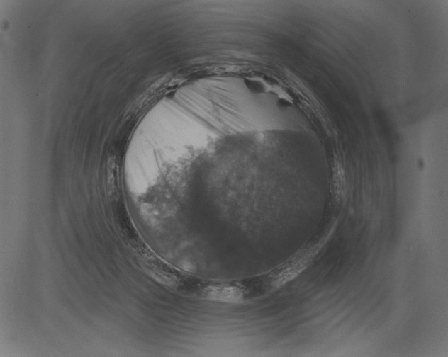 X0000081360169200702020149