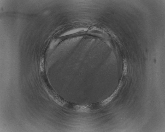 X0000081360170200702020149