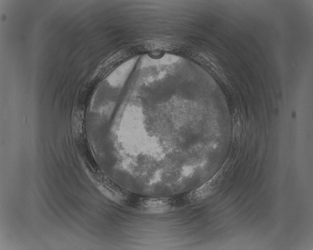 X0000081360171200702020149