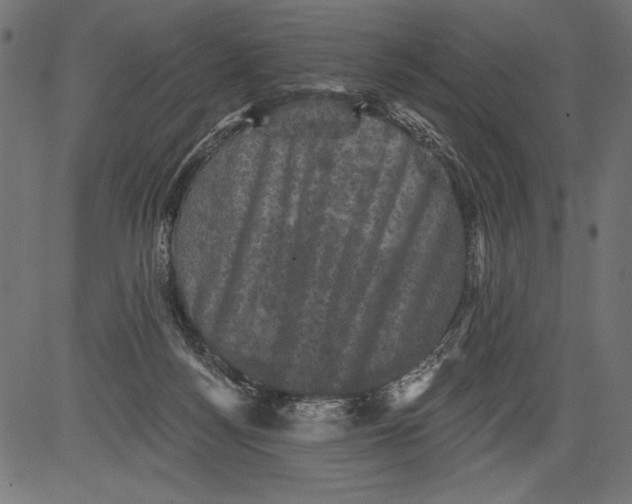 X0000081360172200702020149