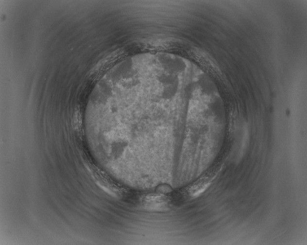 X0000081360173200702020149