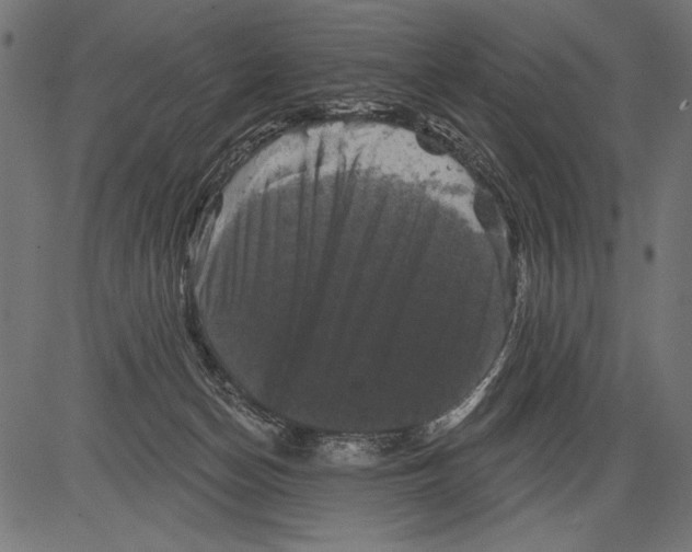 X0000081360174200702020149