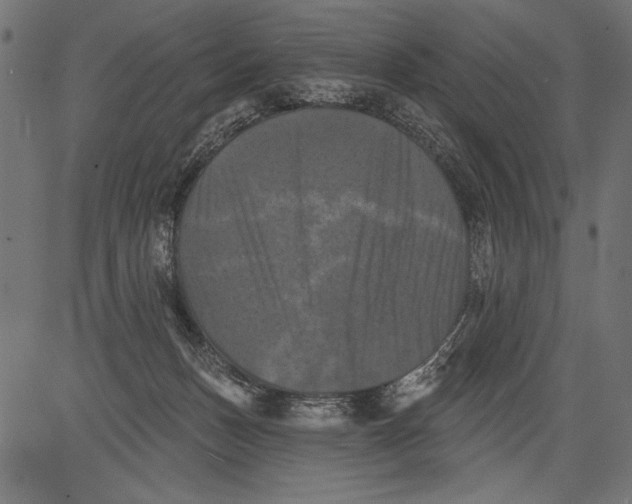 X0000081360175200702020149