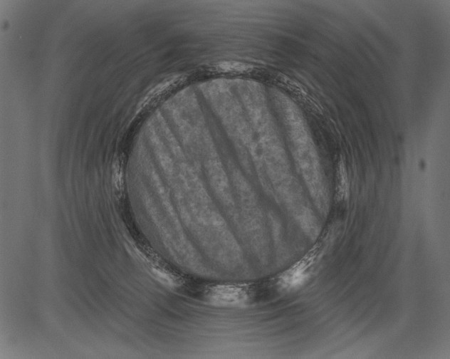 X0000081360176200702020149