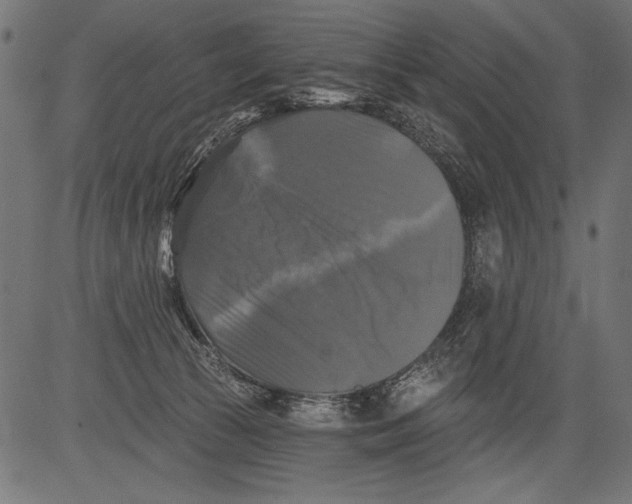 X0000081360177200702020149