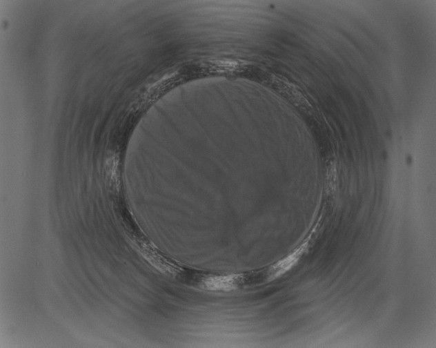 X0000081360178200702020149