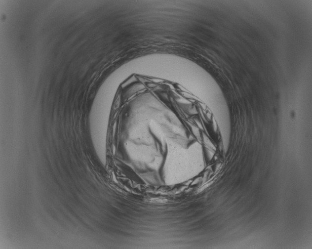 X0000081360180200702020149