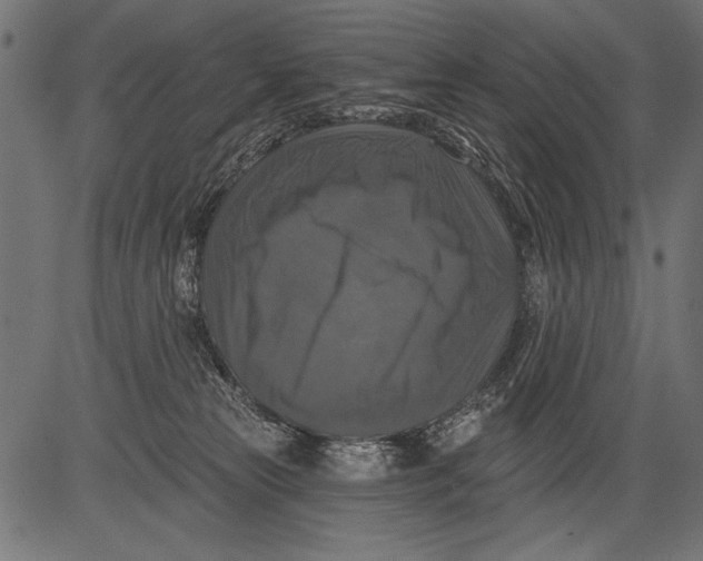 X0000081360181200702020149