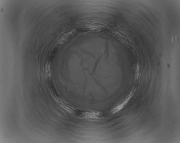 X0000081360182200702020149