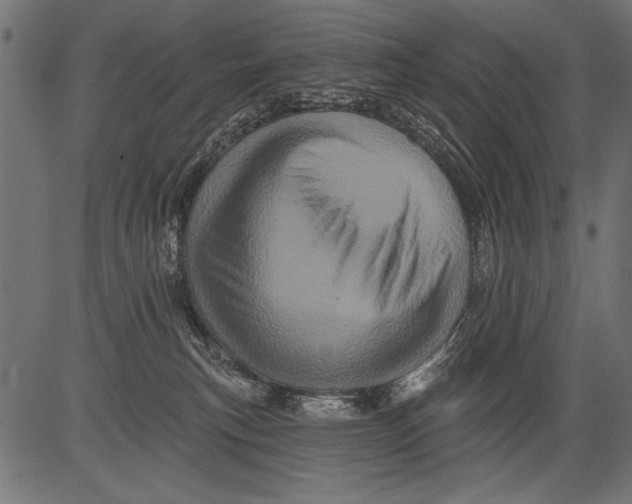 X0000081360183200702020149