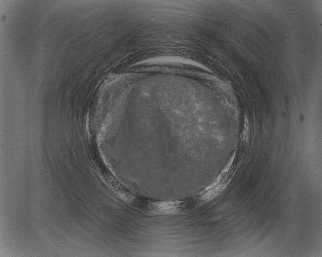 X0000081360184200702020149