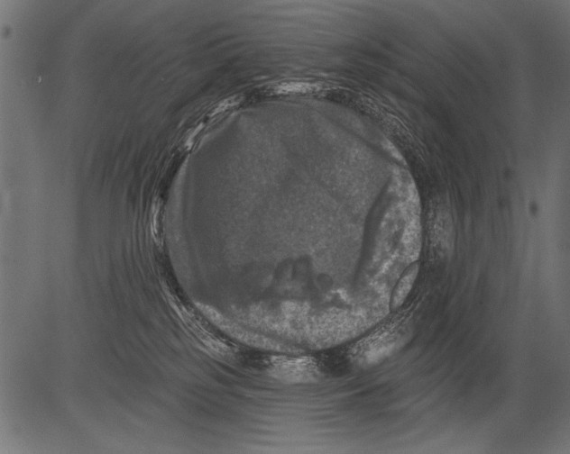 X0000081360185200702020149