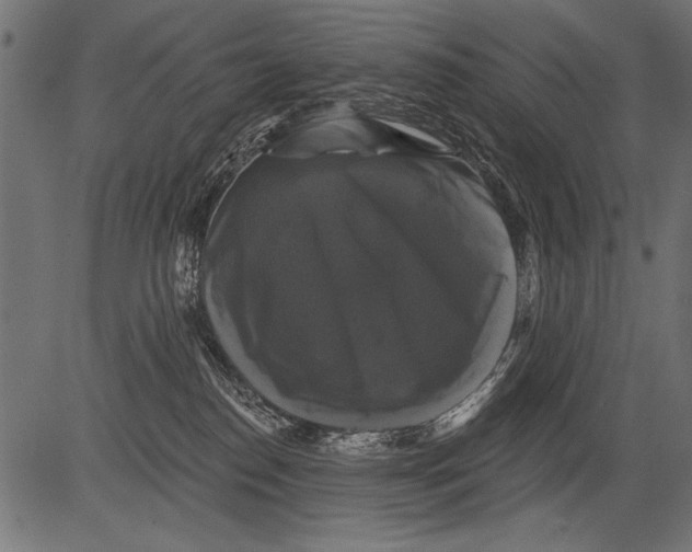 X0000081360186200702020149