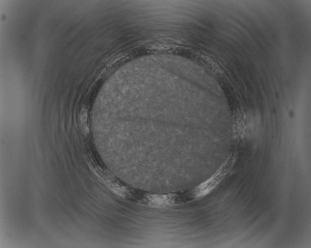 X0000081360187200702020149