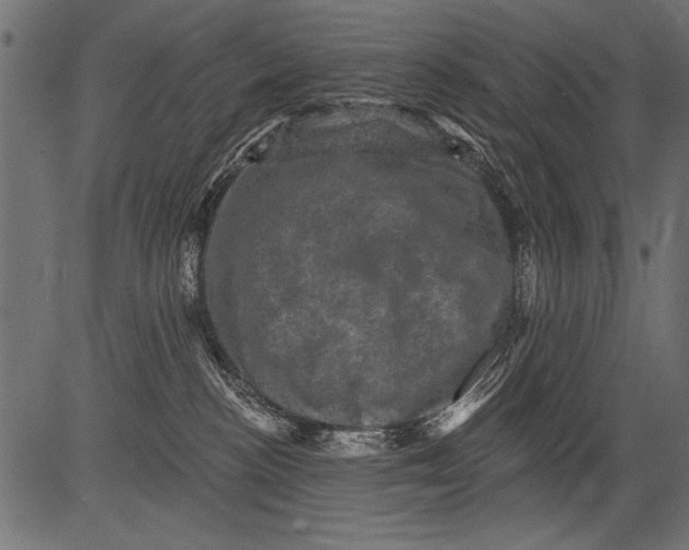 X0000081360188200702020149