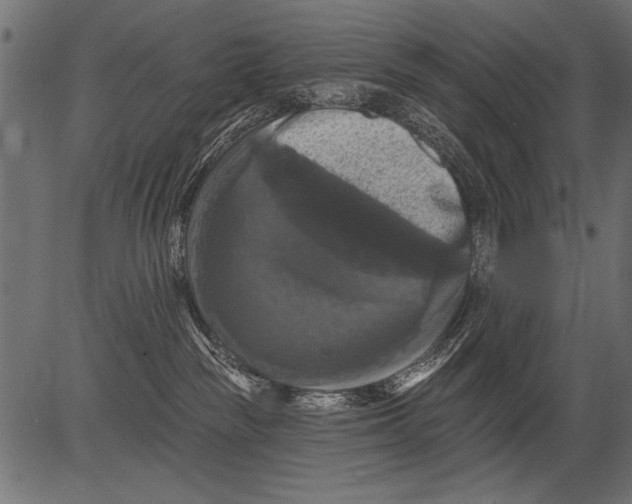 X0000081360189200702020149