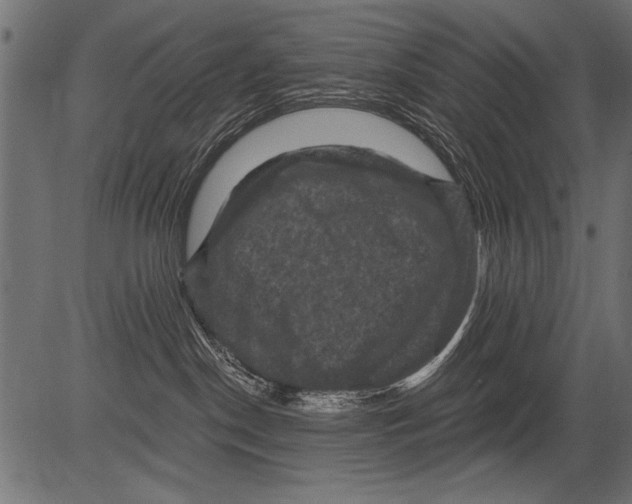 X0000081360190200702020149