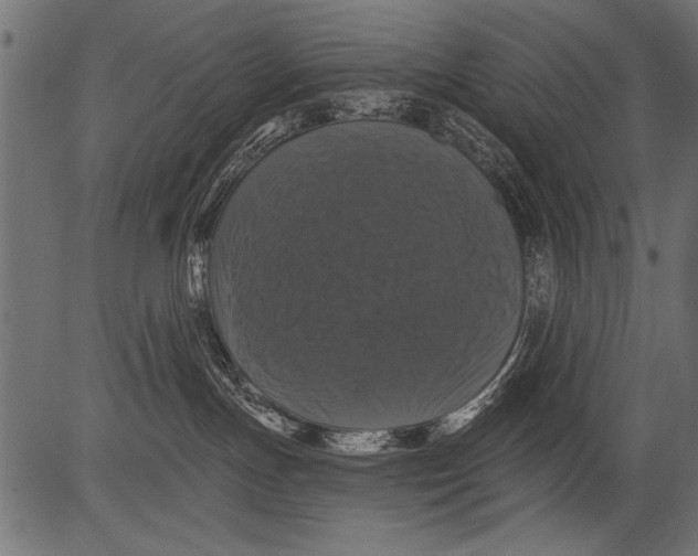 X0000081360191200702020149