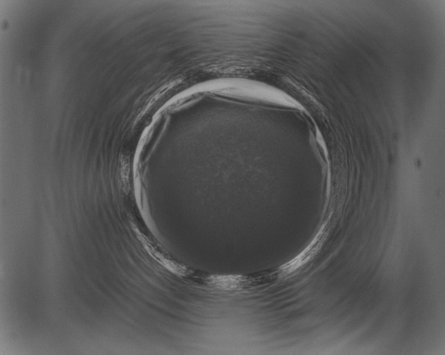 X0000081360192200702020149