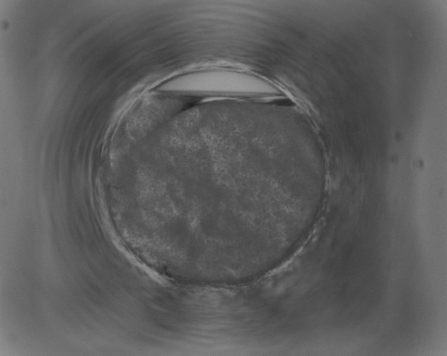 X0000081360193200702020148