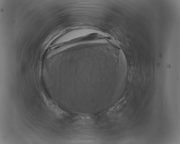 X0000081360194200702020148